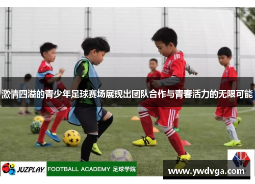 激情四溢的青少年足球赛场展现出团队合作与青春活力的无限可能